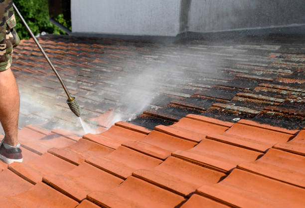 Best Roof Power Washing Services  in Holly Hill, SC