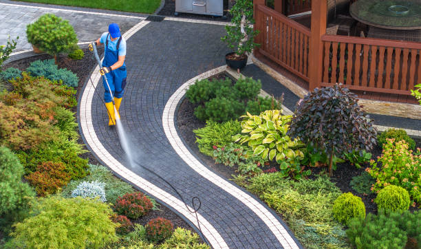 Best House Pressure Washing  in Holly Hill, SC