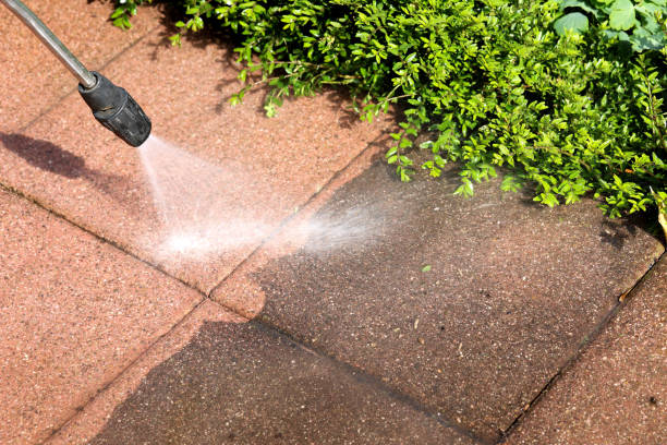 Best Concrete Pressure Washing  in Holly Hill, SC